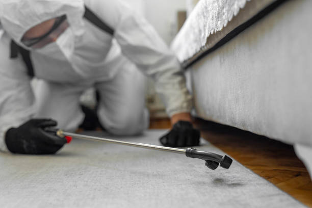 Professional Bed Bug Control technician working in James City, NC