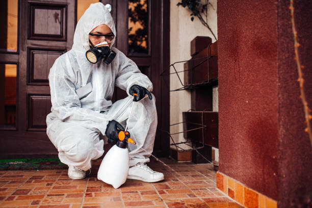 Reliable Bed Bug Control contractor in James City, NC by Nex Pest Control